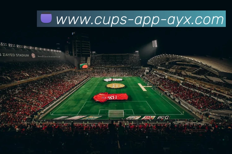 多媒体互动体验